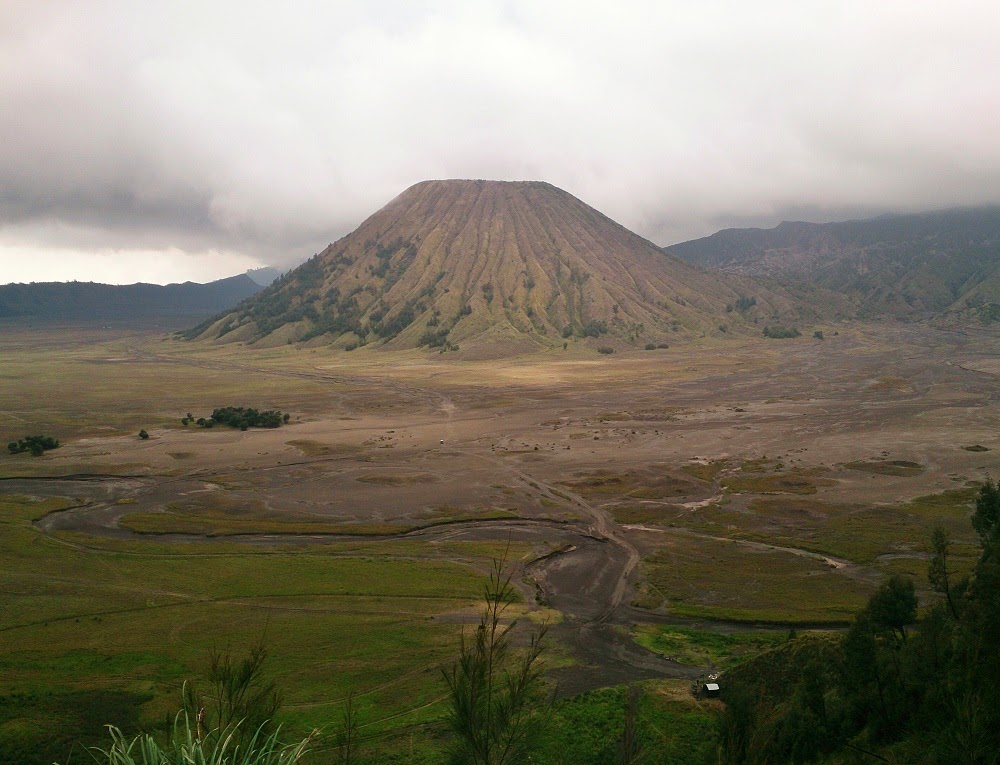 Роза бромо эквадор