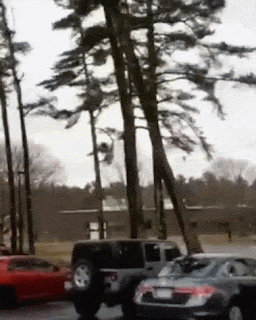 daily_gifdump_3269_04.gif