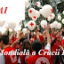 8 mai : Ziua Mondială a Crucii Roșii