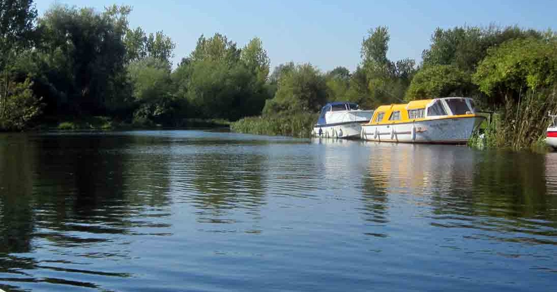 Cakes and Al Big Dog Ferry…