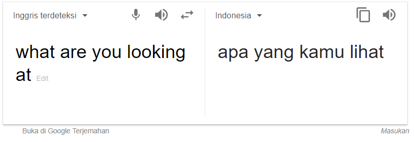 What Are You Looking At Artinya