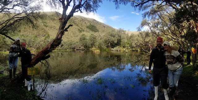 Un lugar encantado en el medio del páramo y bosque: PolylepisLodge