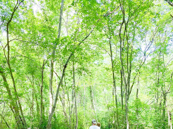 A Personal Pause