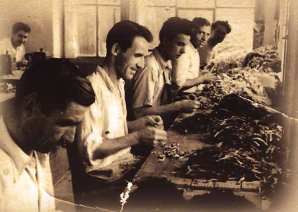 Ερώτηση στη Βουλή του ΚΚΕ για τους Γουνεργάτες