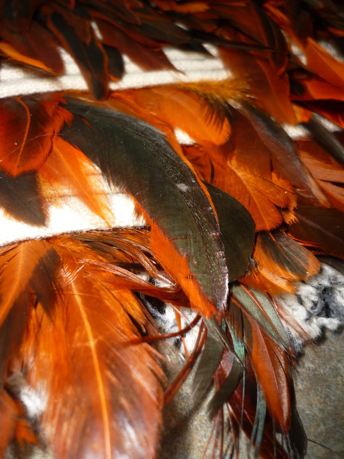 Hannah Rawlings Designs Weaving with Feathers