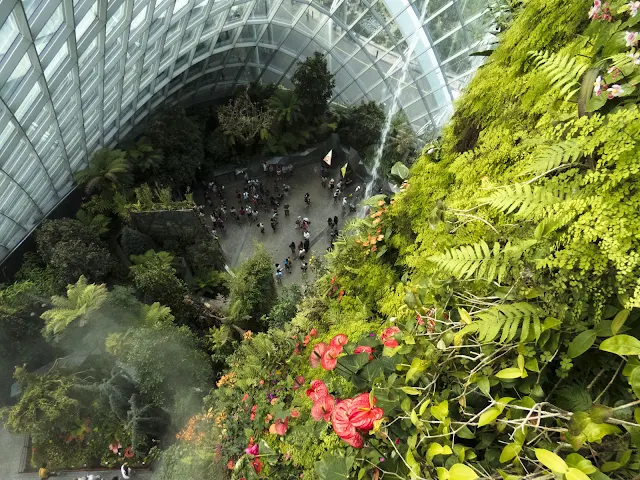 Cloud Forest from above at the Gardens by the Bay in Singapore