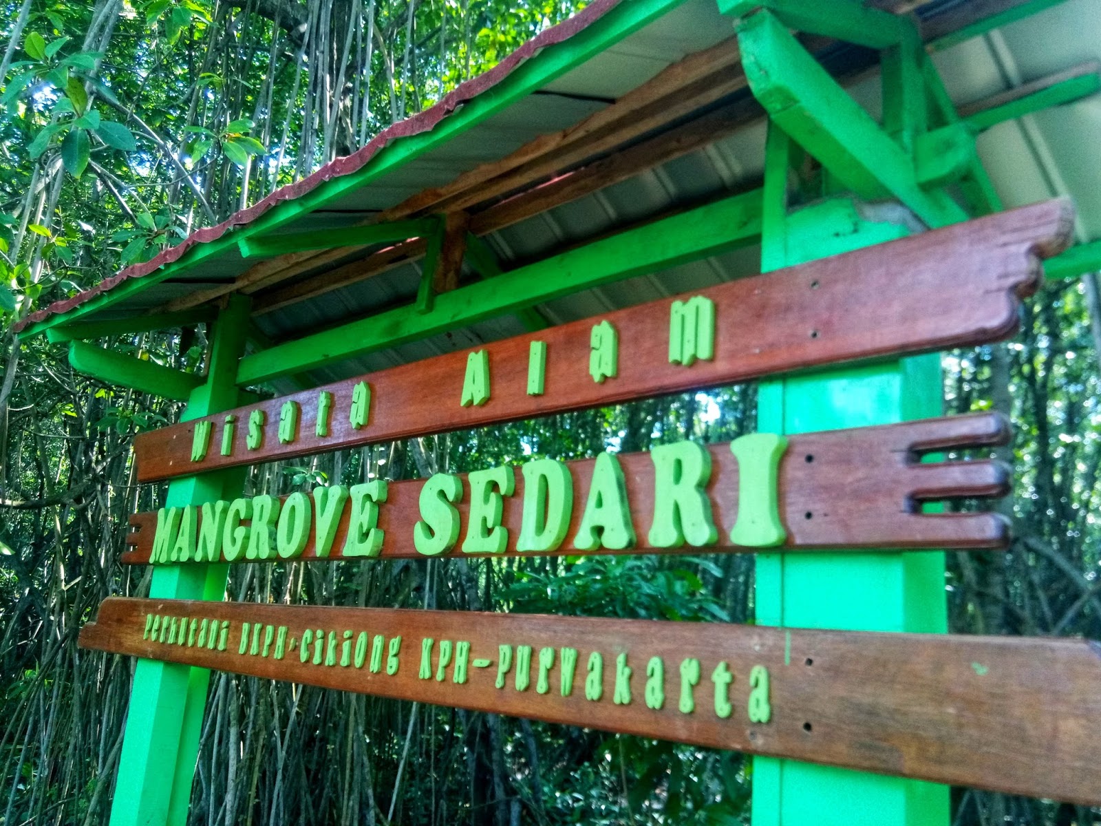 Wisata Alam Mangrove Sedari Karawang Syafroni Agustik