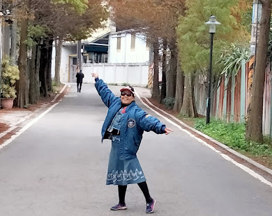 大溪景點-落羽松大道-錯過了陽光普照的燦爛金黃