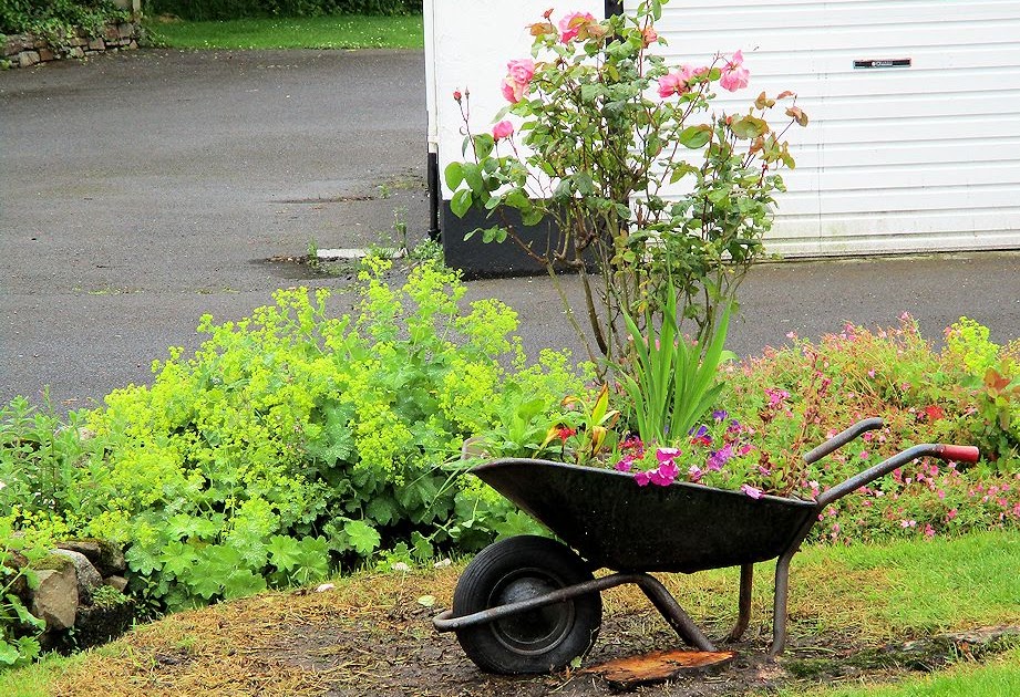 Somewhere in Ireland wheelbarrow