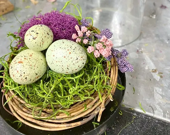 Nest with eggs and moss