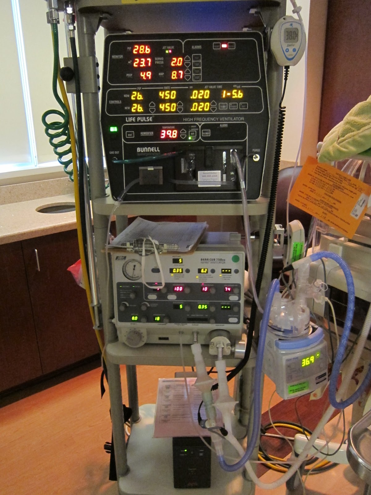 Calder's Rocky River The NICU.