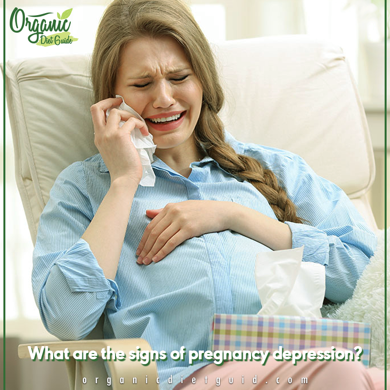 organicdietguide Causes &Treatment Depression During Pregnancy