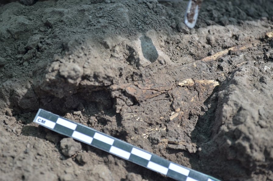 Misterios aun no desentrañados .Arqueología Extraterrestres. MÉXICO hallan una tumba de tiro al