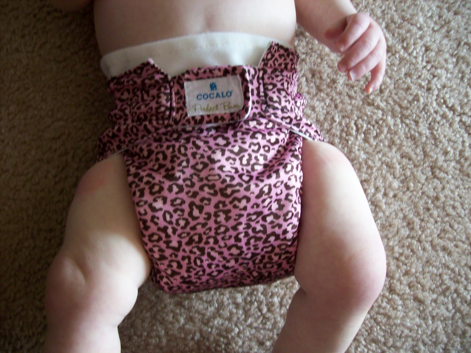 Contemplate Cloth Perfect Bum Diaper Review and Giveaway Perfect Bum