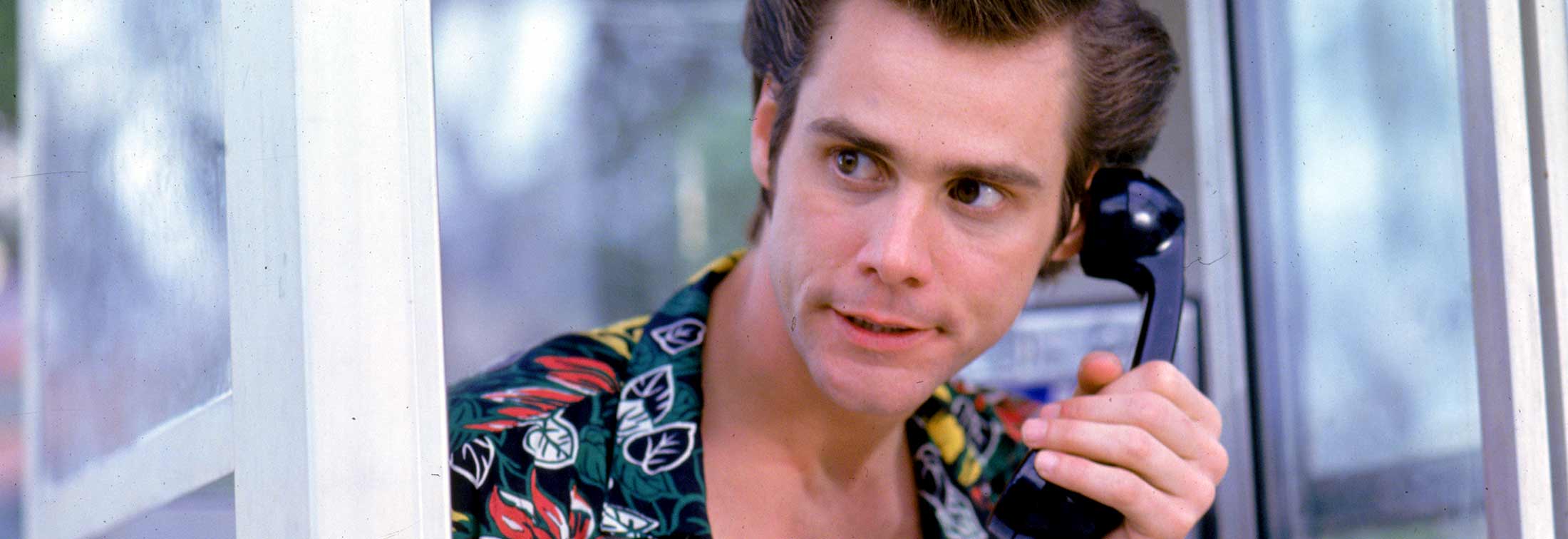 Ace ventura pet detective movies lindacleaning