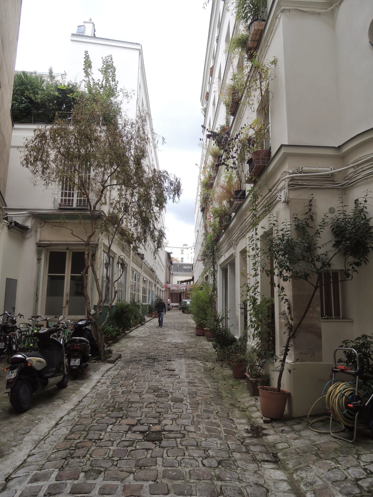 Les Jardins de Paris XIe: 95 rue du Faubourg Saint Antoine