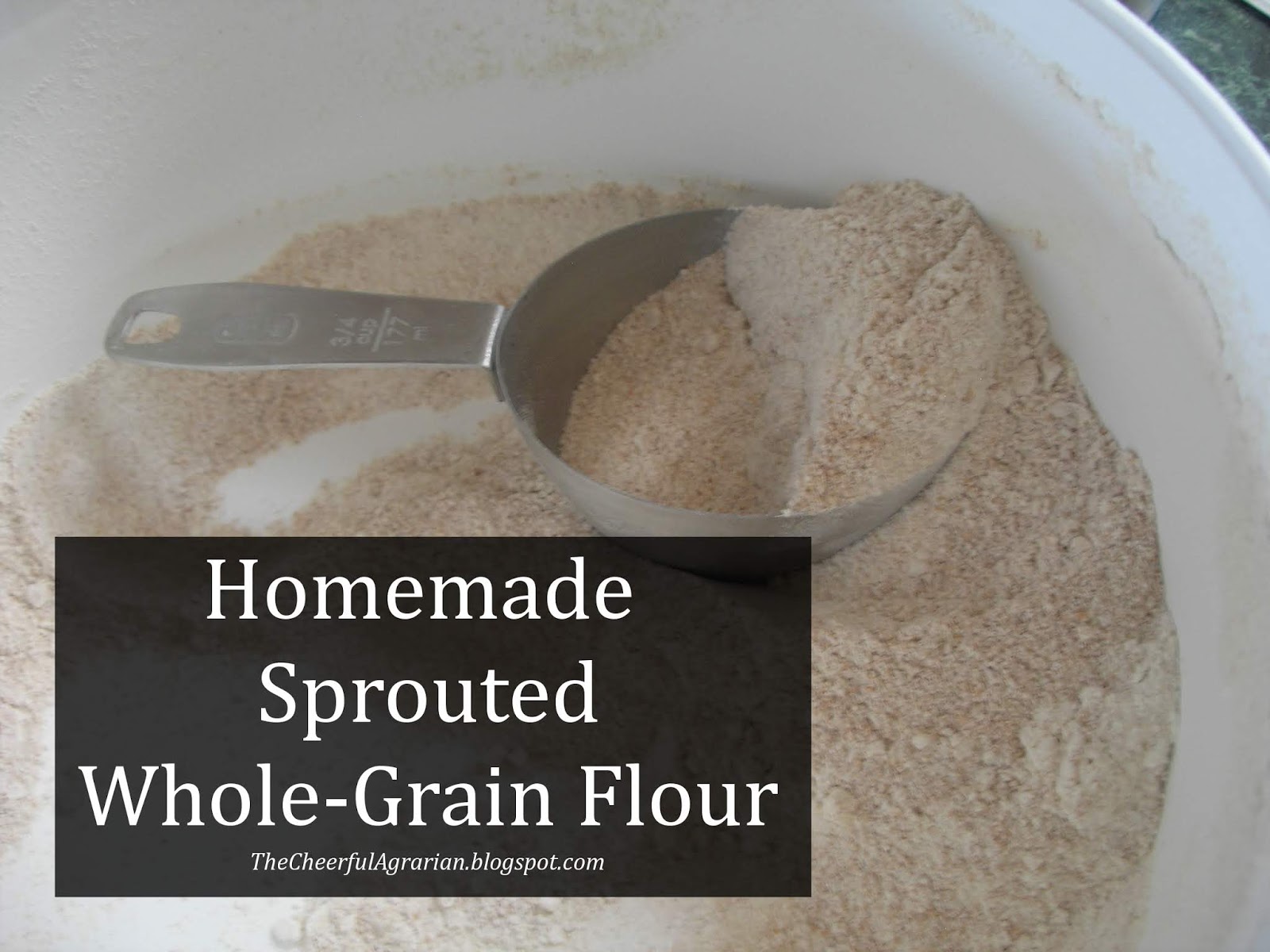 The Cheerful Agrarian Homemade Sprouted WholeGrain Flour