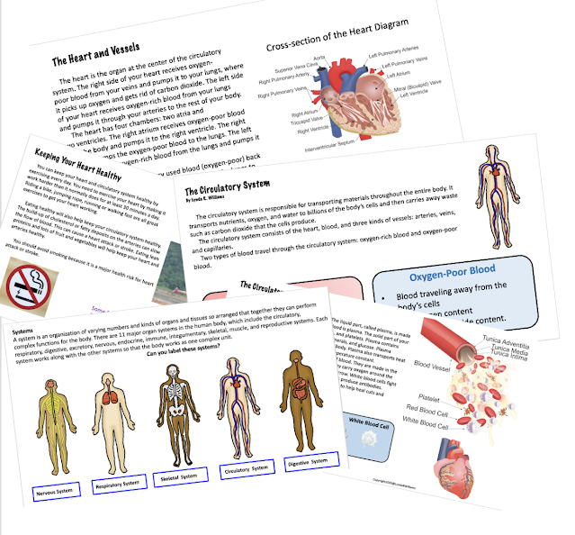 Circulatory System Distance Learning NGSS NGSS MS-LS1-3 and Utah SEEd 7.3.3 Informational text passages on the circulatory system