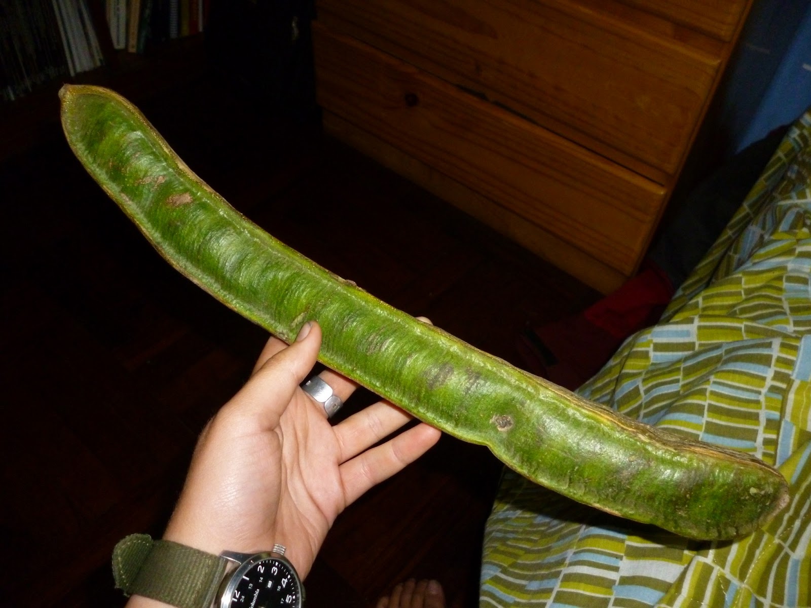 My Peruvian Adventure