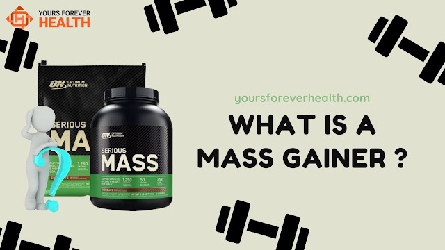 What is a Mass Gainer ?