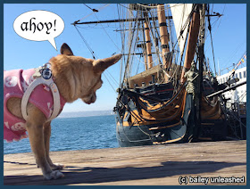 ahoy mateys! via baileyunleashed.com
