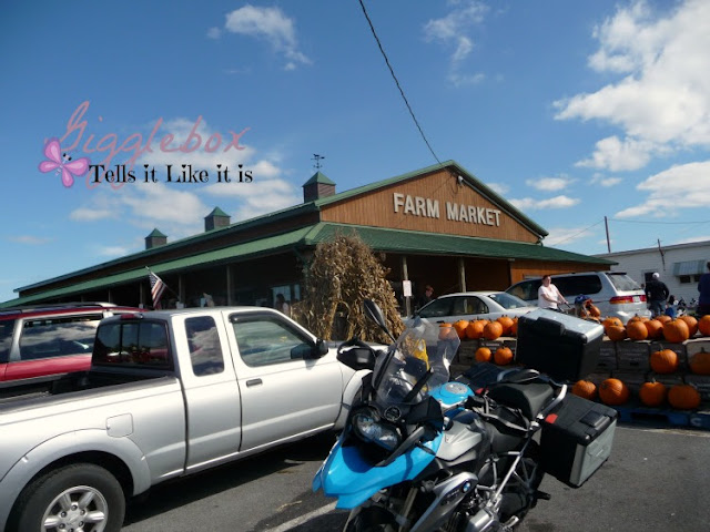 Fall time family fun picking apples at Marker-Miller Orchards in Winchester VA,