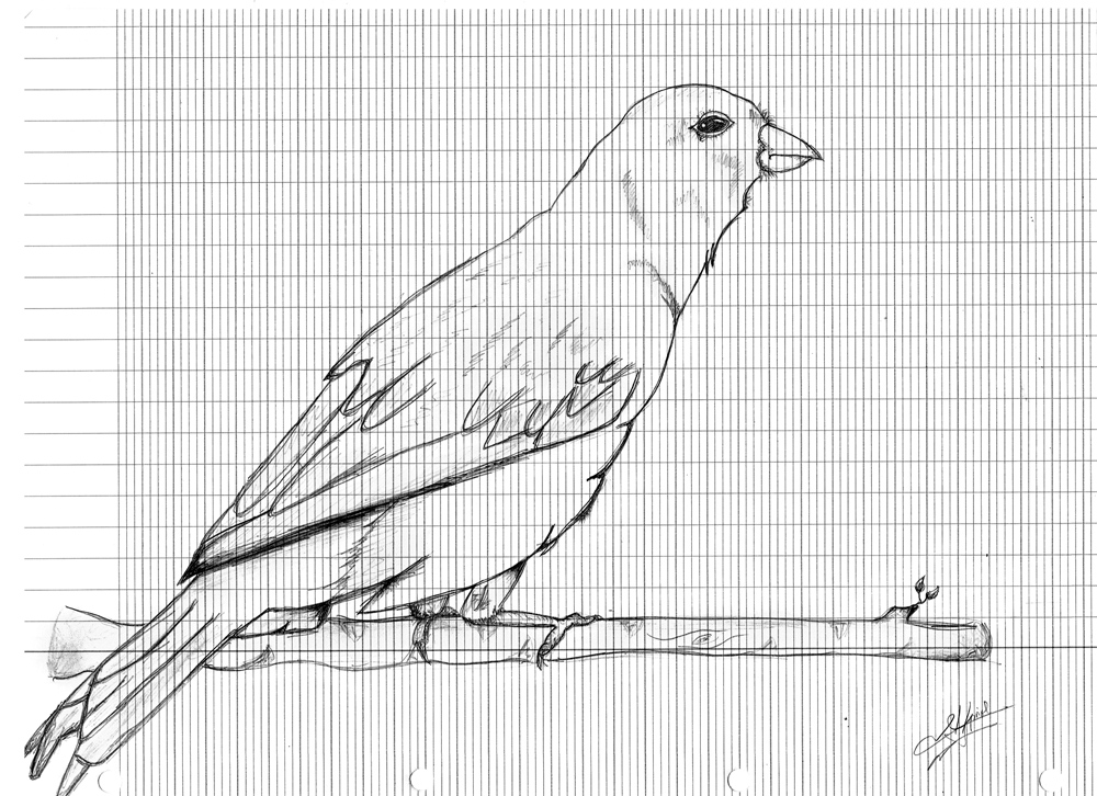 L'imaginarium: Croquis sur feuilles à carreaux...