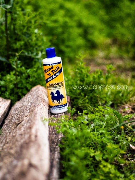 Mi experiencia con el Mane N Tail shampoo para caballos Cabellos C