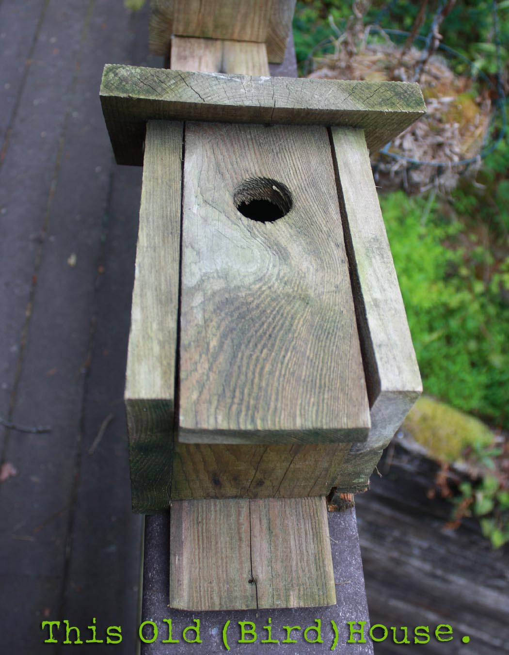 The Impatient Crafter iLoveToCreate Craft Wars Inspired Ocean Dreams Birdhouse