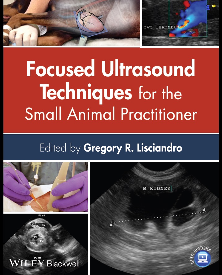 Focused Ultrasound Techniques for the Small Animal Practitioner