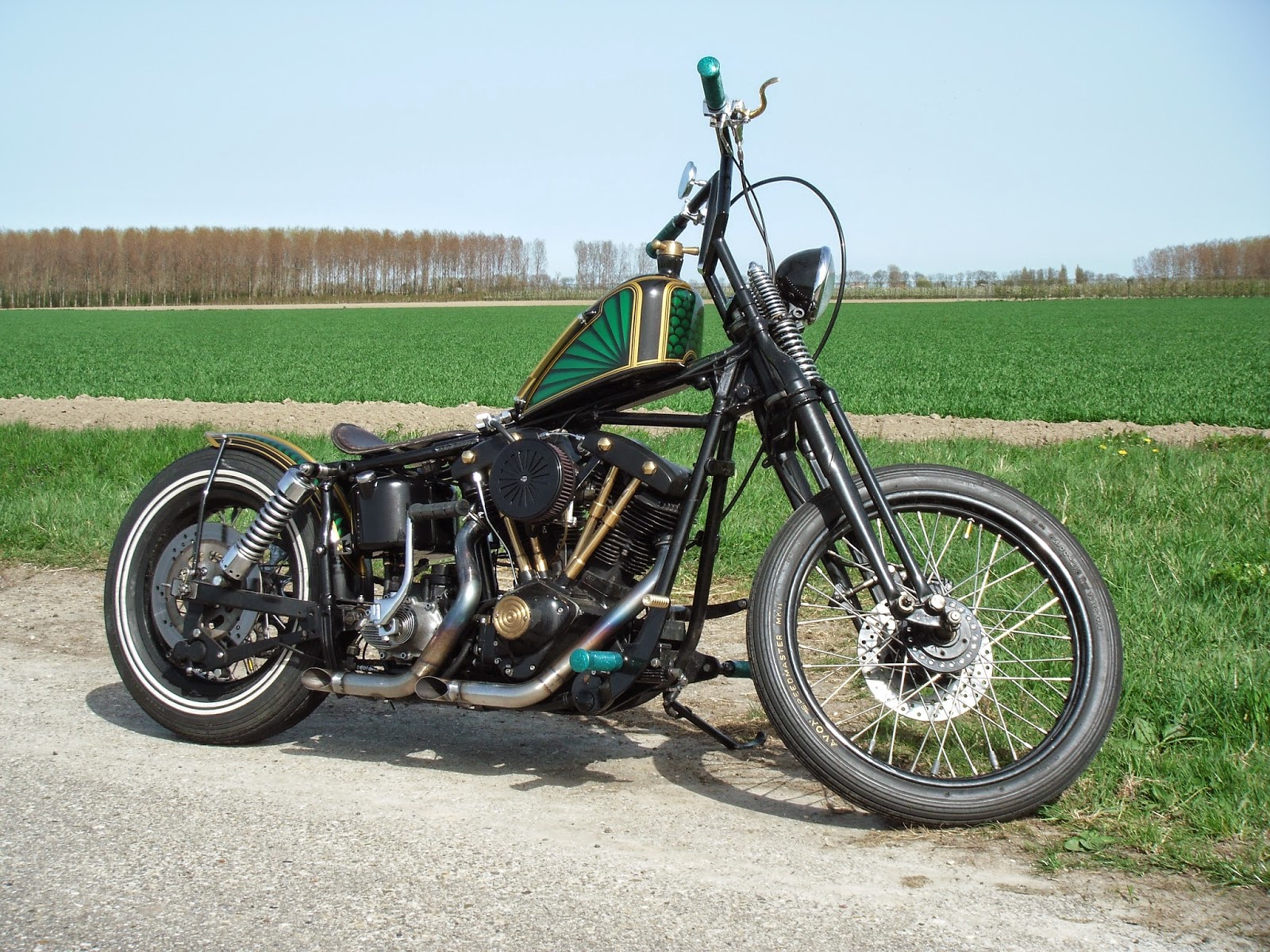 TD CHOPPERPARTS Erik's bike