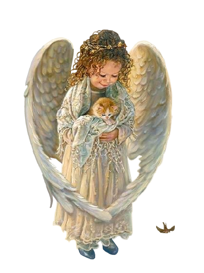 ForgetMeNot children angels