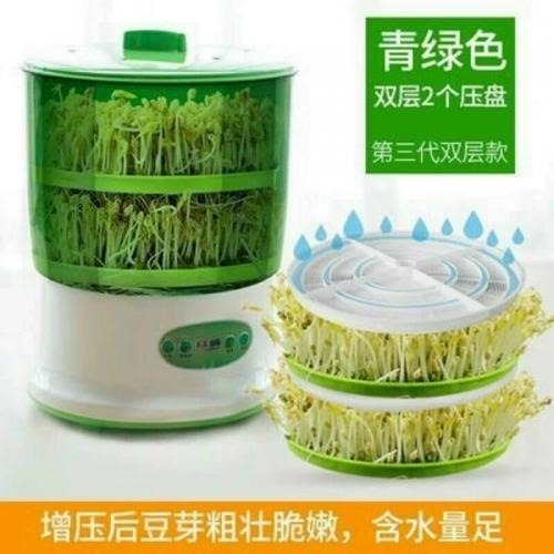Tự làm các loại rau dinh dưỡng, rau mầm sạch cho gia đình 6 f33045a45 7bfd 4e4c 81e2