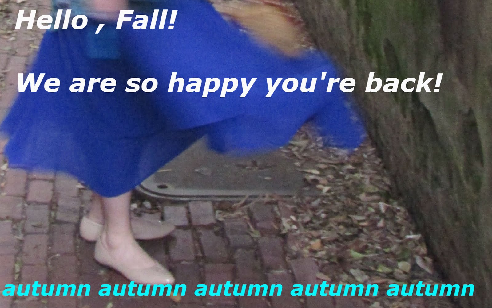 Good bye Summer, we greet you, Fall!