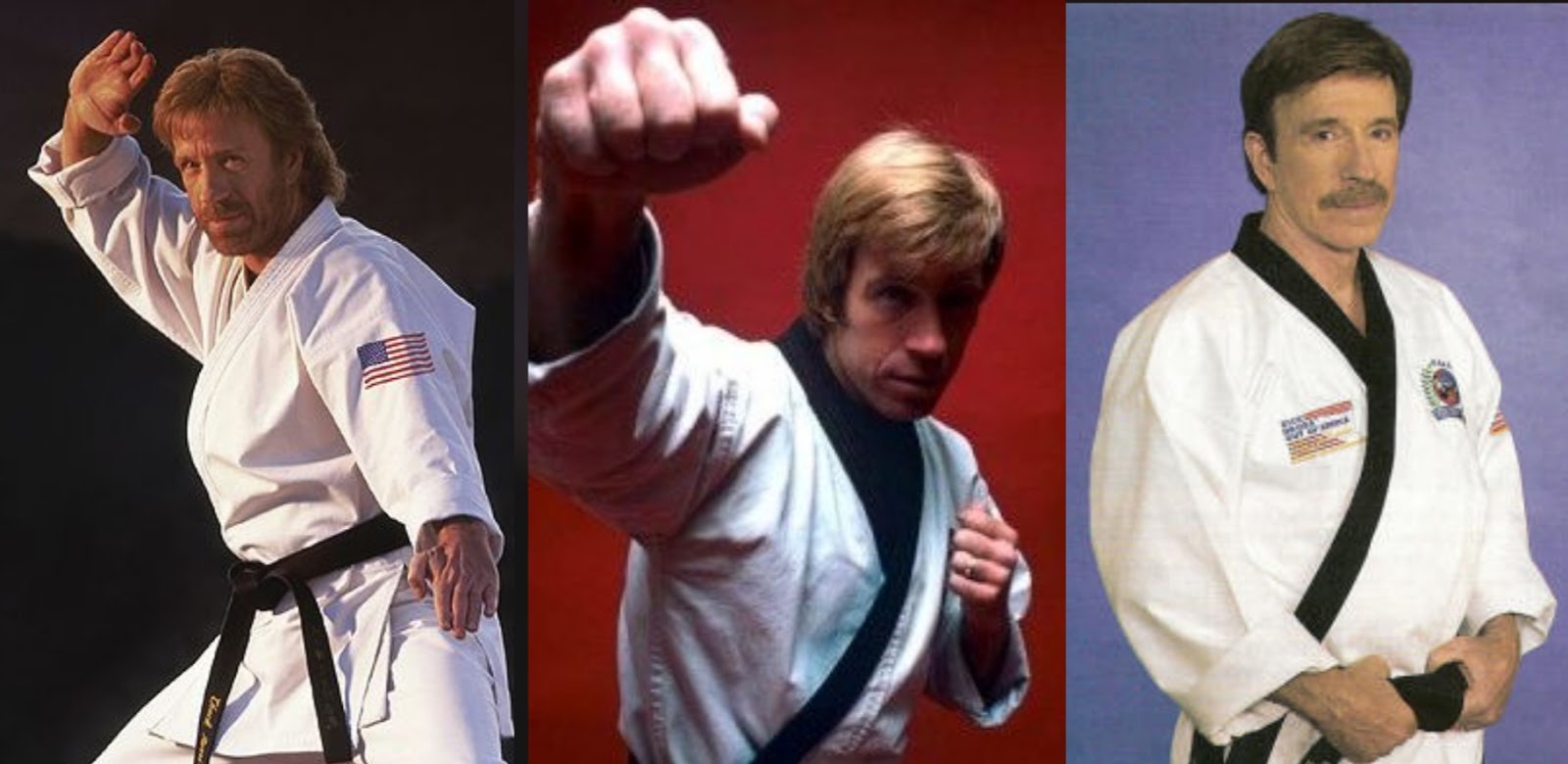 Chuck Norris first style is a Taekwondo Kwan 세계 태권도 가족