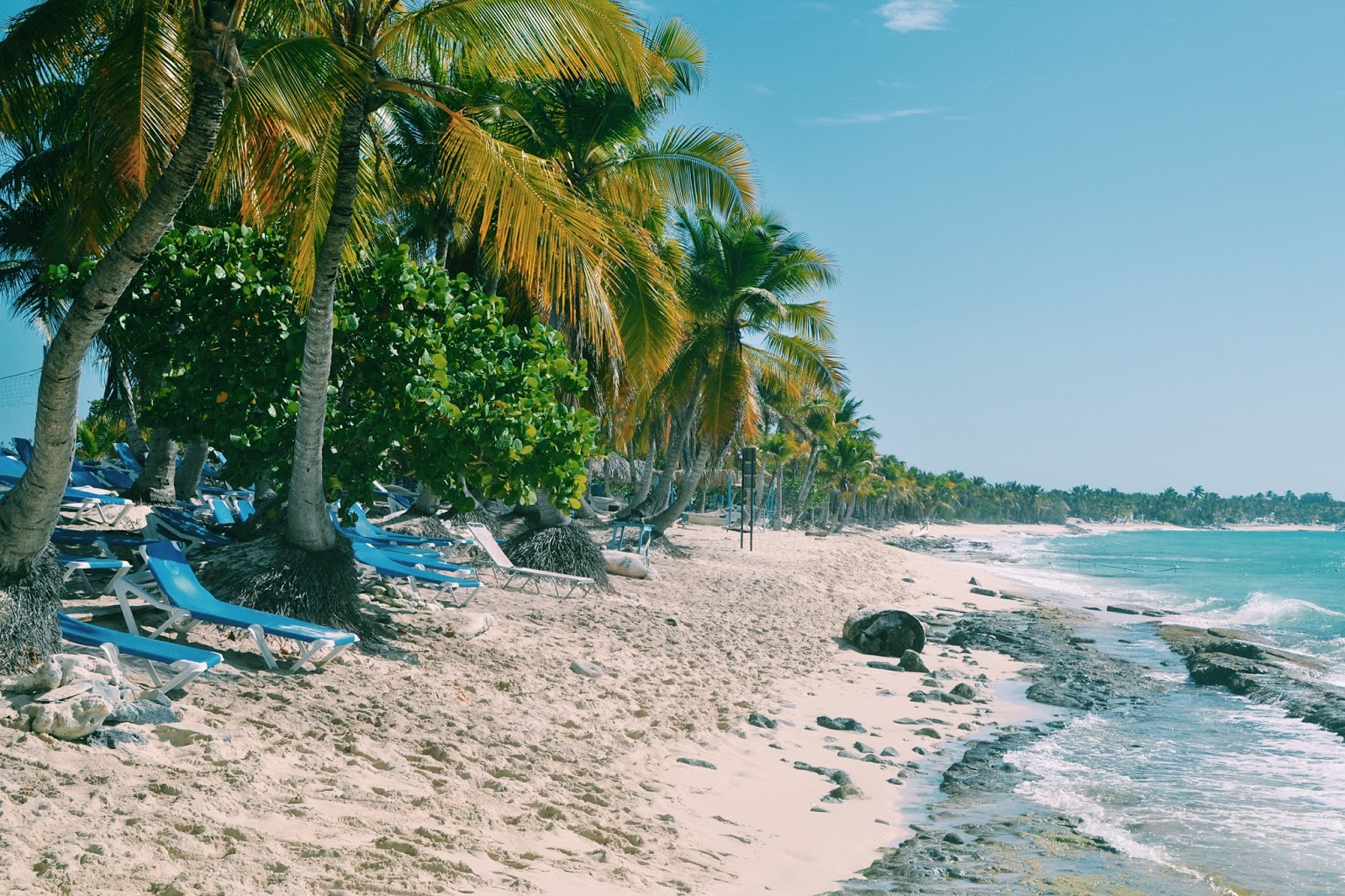 My Trip to La Romana, Dominican Republic Lavender Luxury