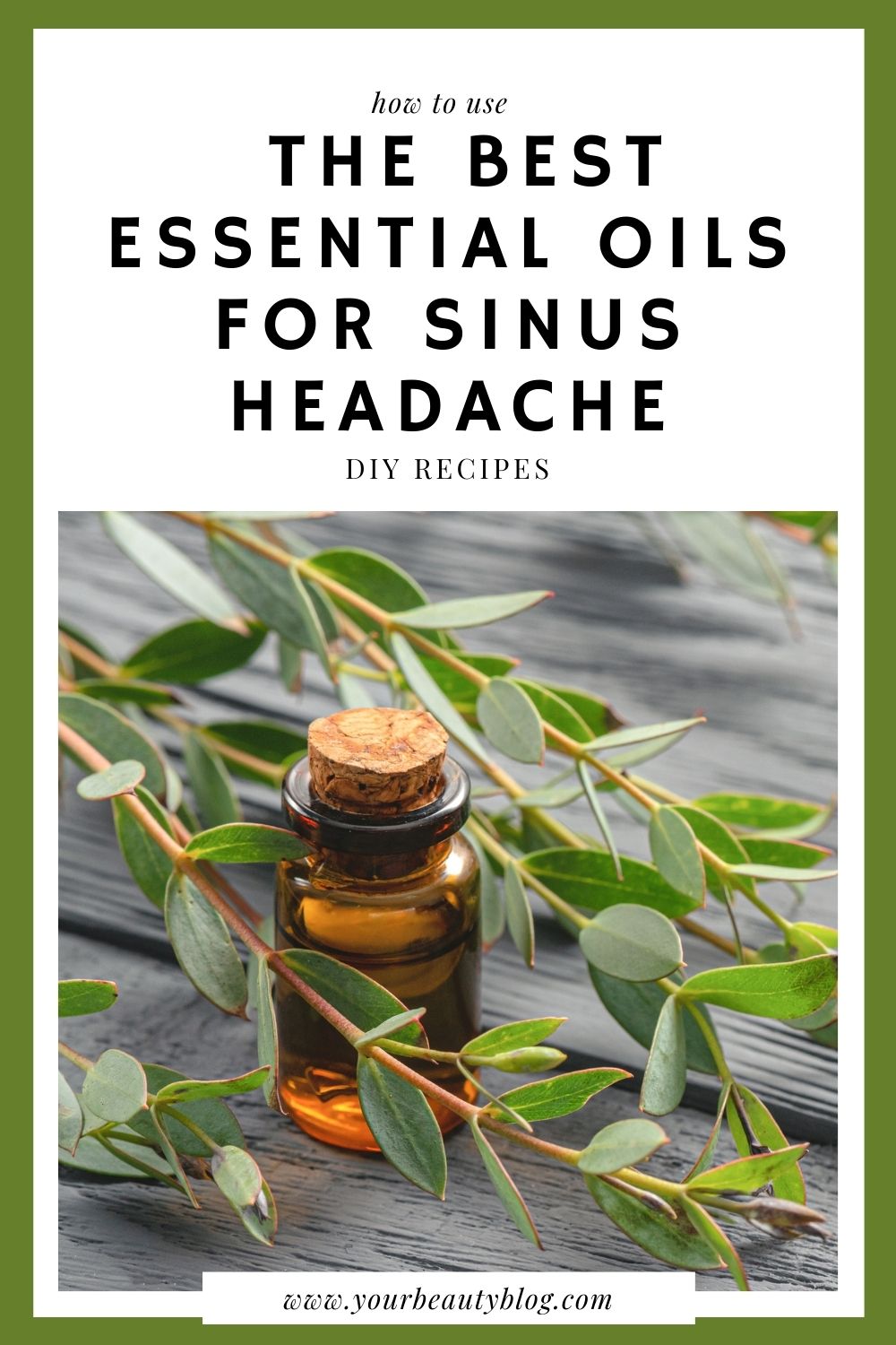 The Best Essential Oils for Sinus Headache Everything Pretty