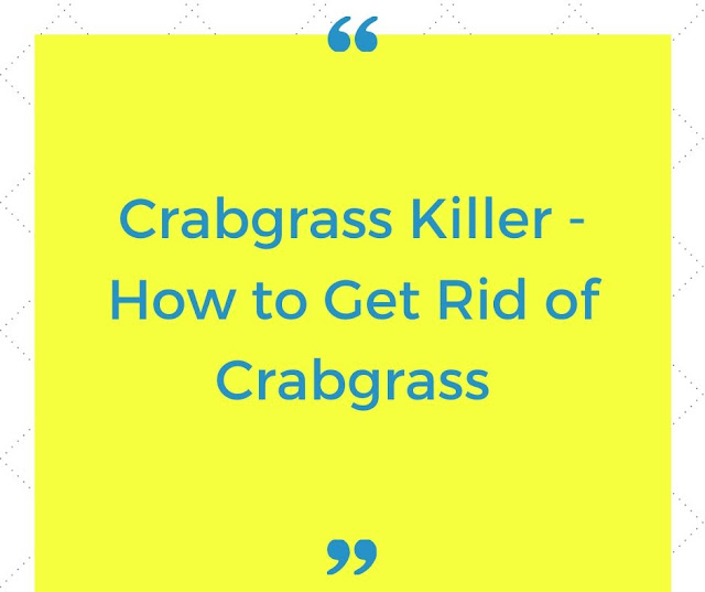 Crabgrass Killer - How to get rid of Crabgrass Crabgrass Killer - How to get rid of Crabgrass