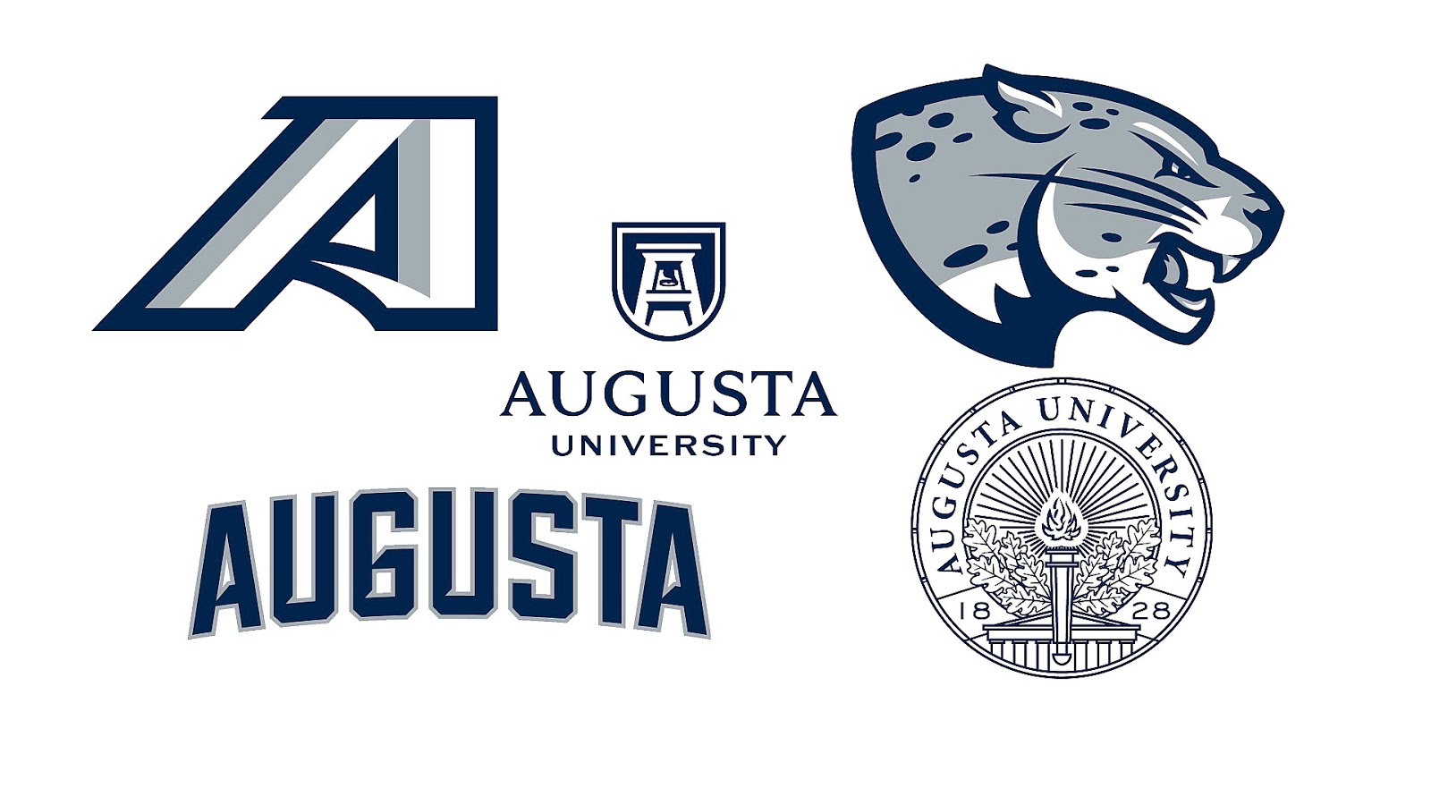 Augusta University University Augusta University Choices