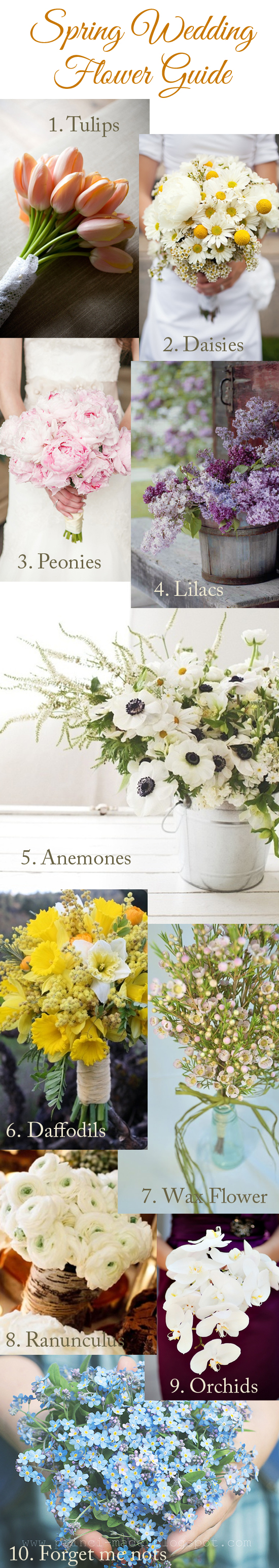 Spring Wedding Flower Guide