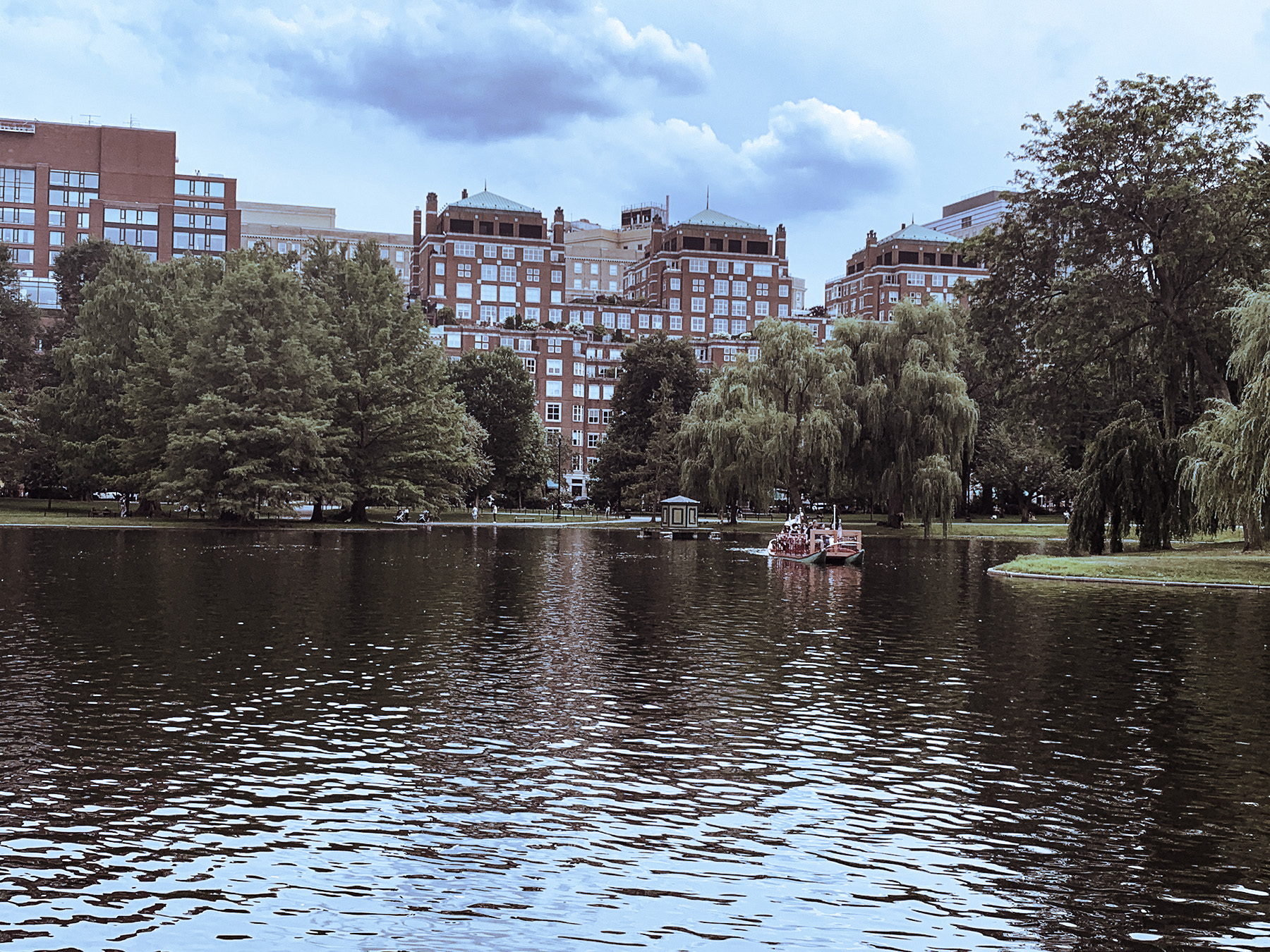 PondinBostoncommon