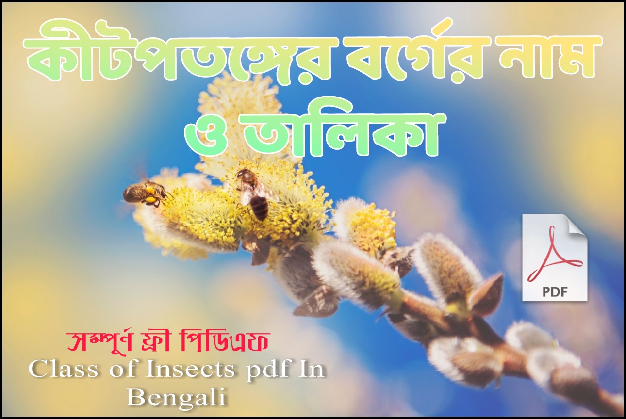 কীটপতঙ্গের বর্গ pdf || Class of Insects pdf In Bengali