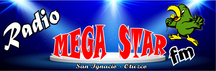 RADIO MEGA STAR FM