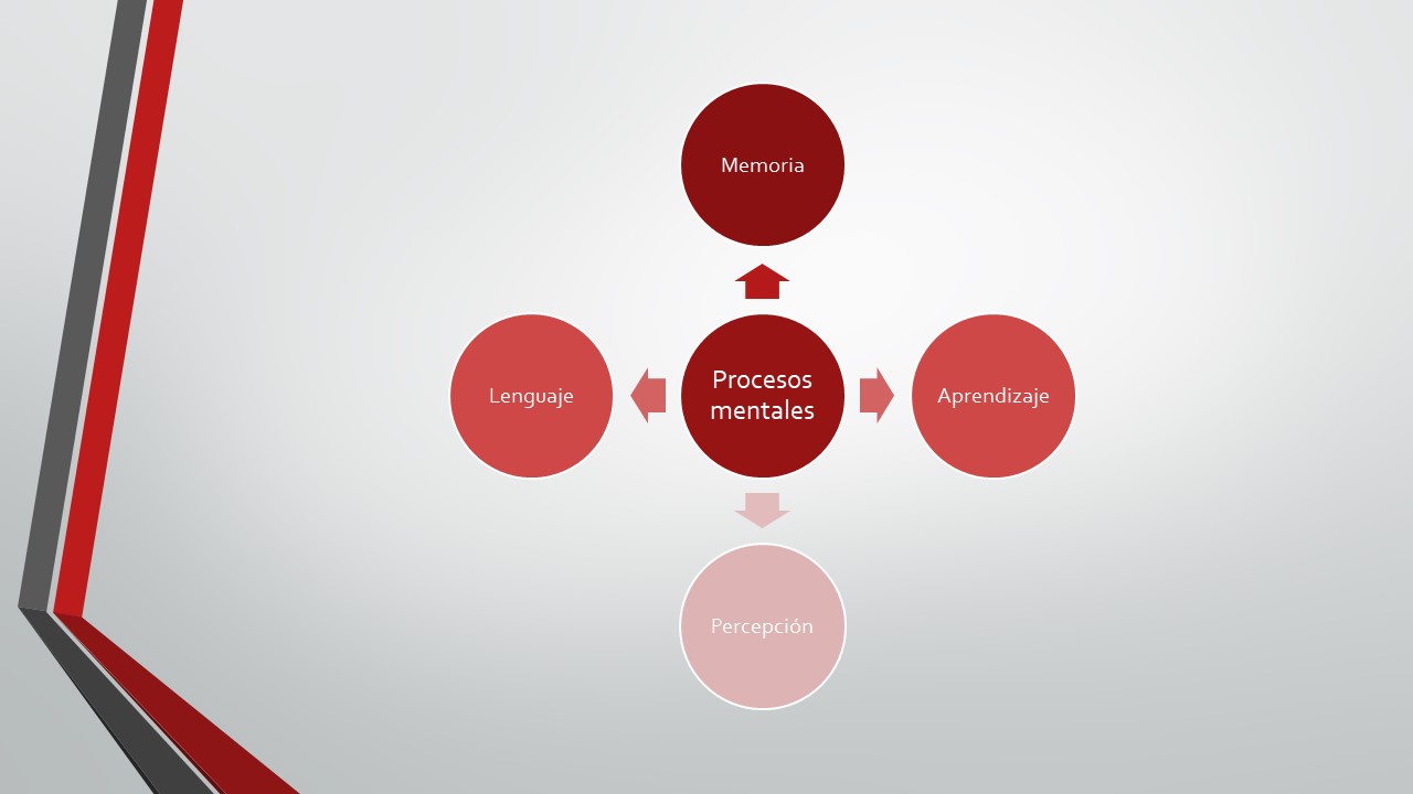 Suspensión por puente del 1ro de Mayo Alumnos 201 y 202