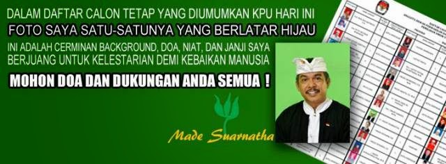 Dituding Langgar Kampanye, Ini Jawaban Suarnatha