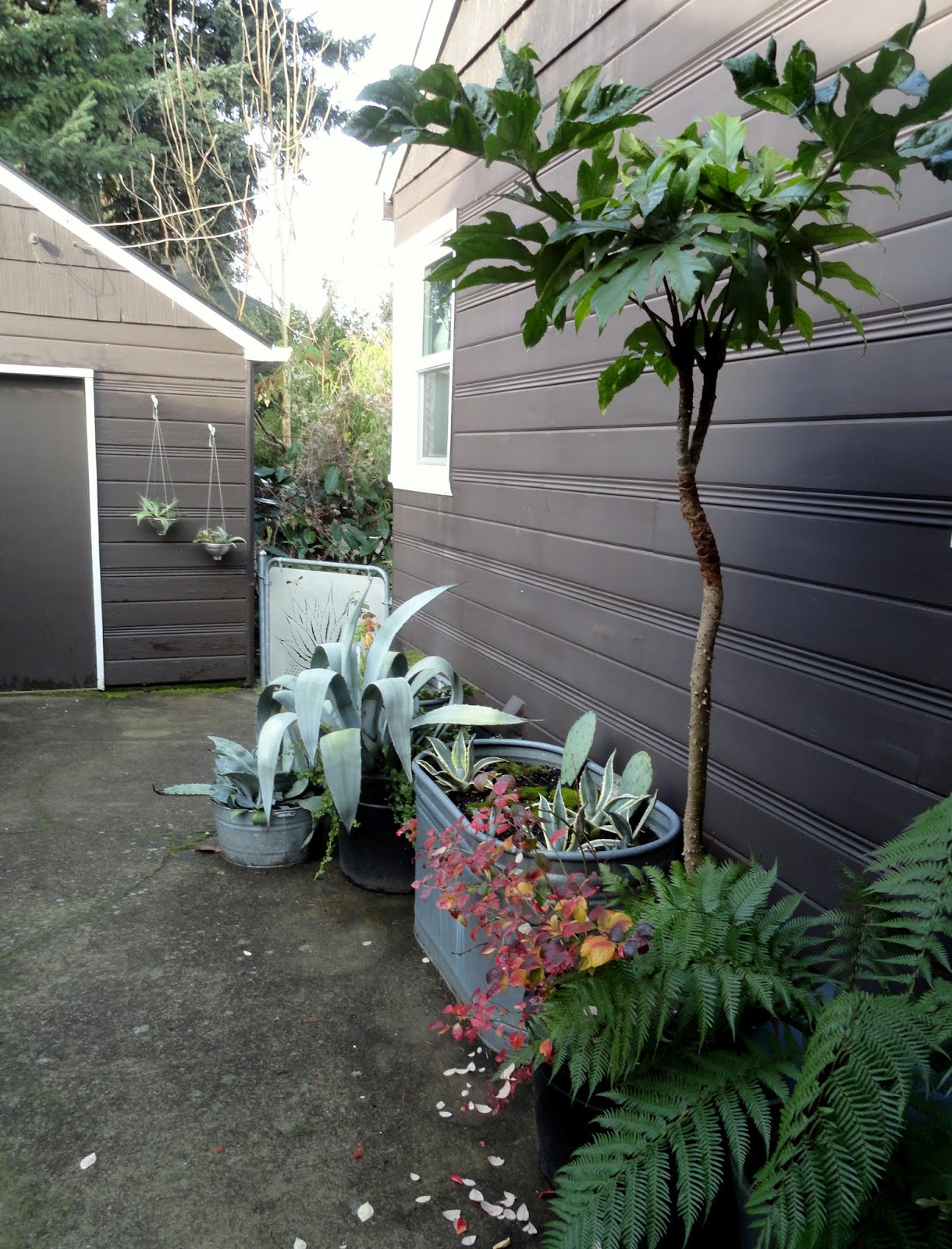 The Autumn Winter Glow Edit Part One Skincare Featuring Oskia