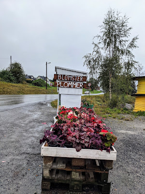 Norway road trip itinerary: roadside plum stand