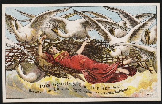 Kristin Holt | Victorian-Americans Cure Baldness and fight gray hair. Photograph of advertisement card for Hall's Vegetable Sicilian Hair Renewer: "Restores Gray Hair to its original color and prevents baldness."