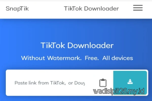 situs web download video tiktok tanpa watermark lewat google dengan mudah lewat android
