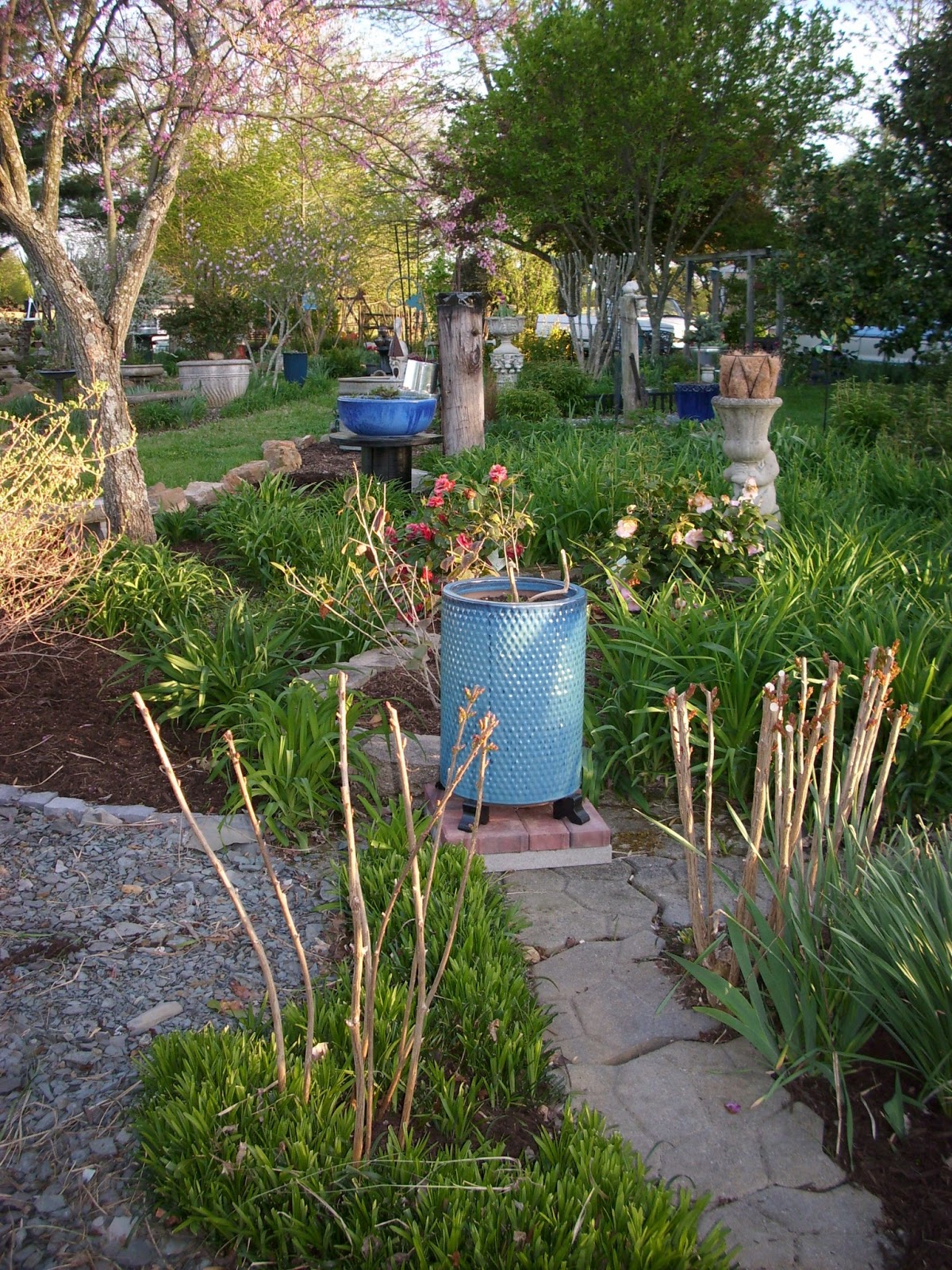 Peonies & Magnolias We Live to Mulch